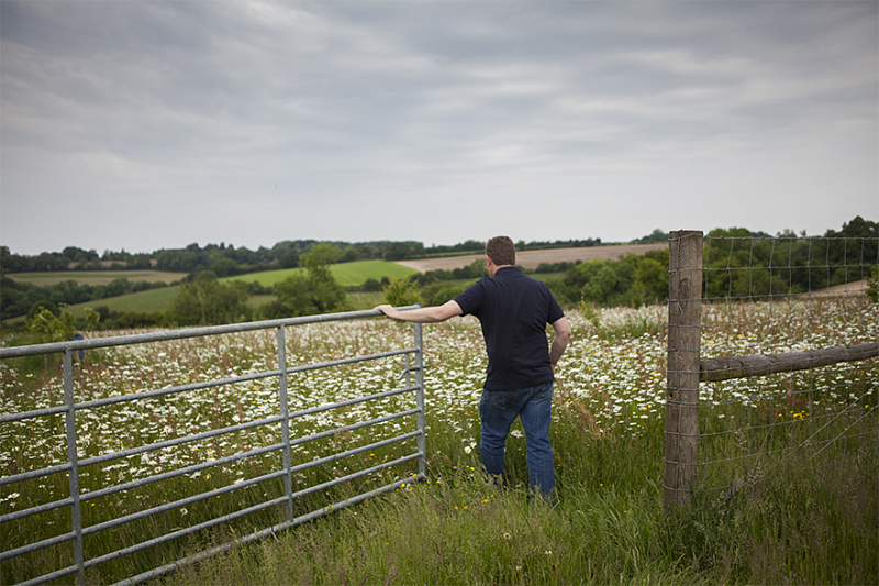 Birds, bees and butterflies get boost from new countryside coalition
